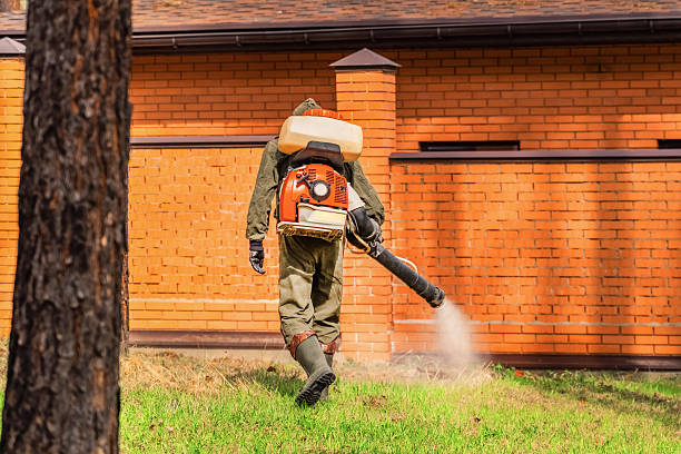 Trusted Rodent Control service in Eatontown, NJ - Nex Pest Control